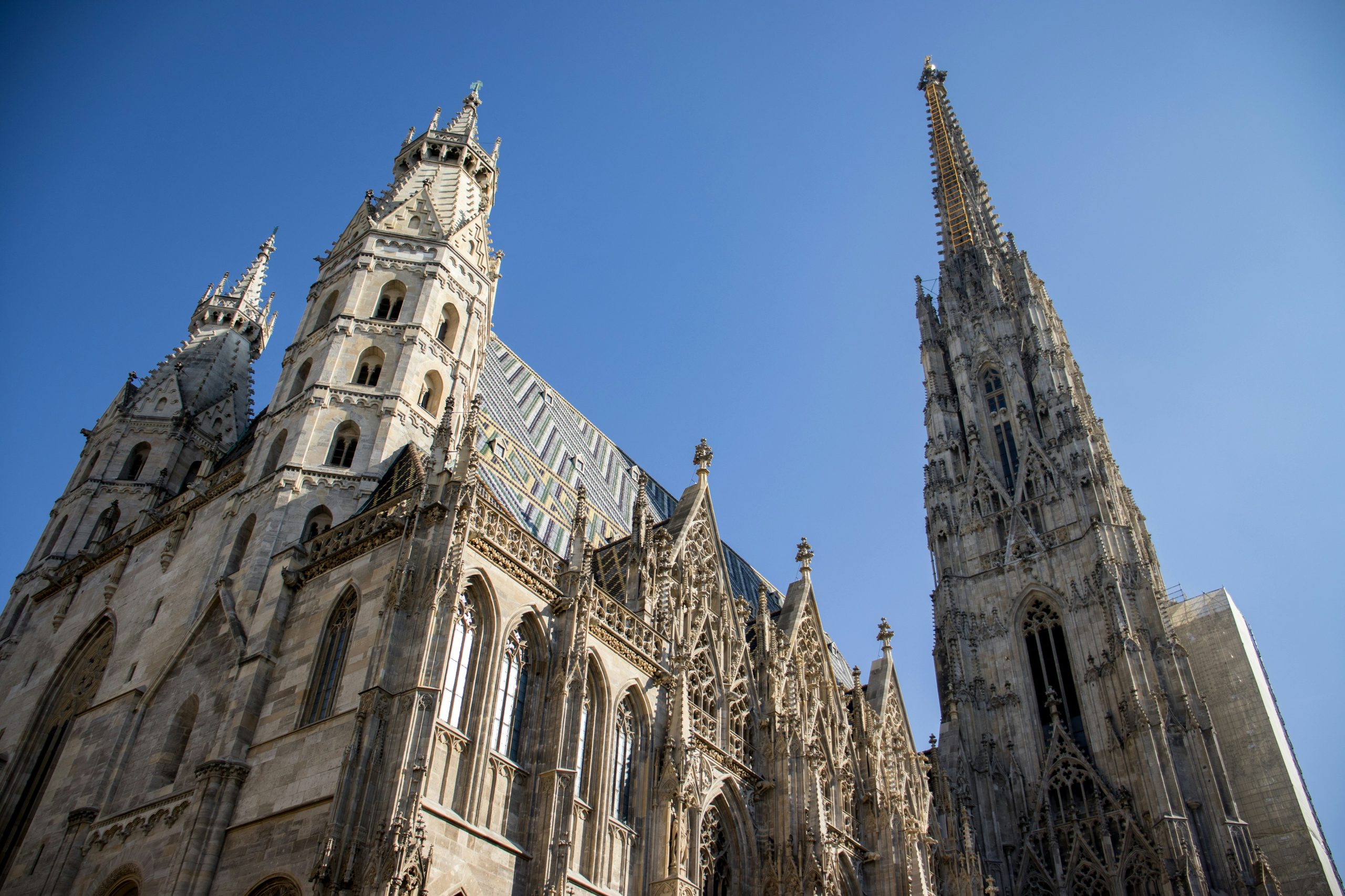 St. Stephen's Cathedral Photo by Shashank Verma on Unsplash