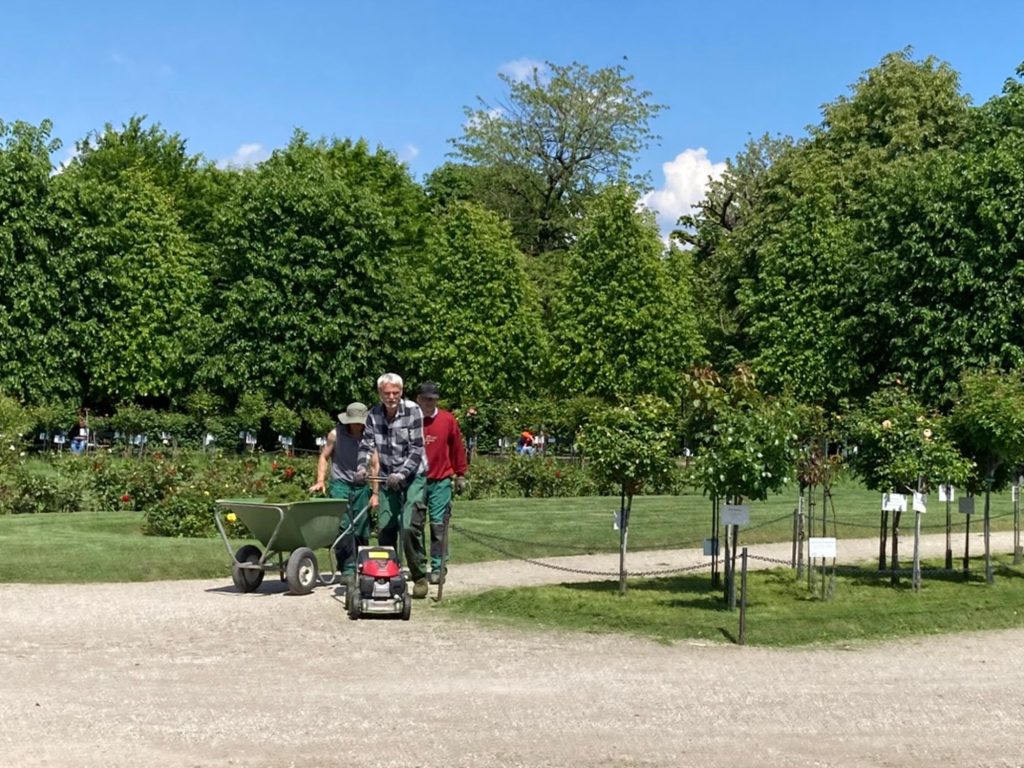Gardener working in the gardens of Schönbrunn Palace. Photo Yolanda Reischer-Bohanec Understanding Vienna Formal gardens depended on the daily work of skilled gardeners and apprentices.