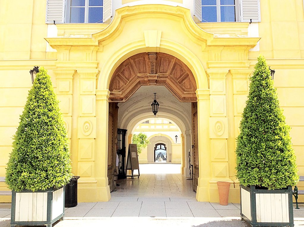 Partly open wooden door leading into a historic Viennese courtyard with yellow façades, shuttered windows, and clipped greenery.