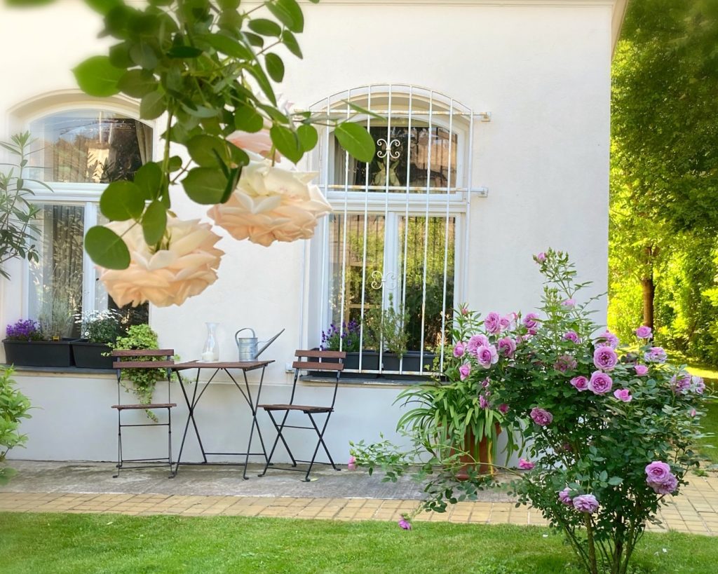 Quiet Viennese garden scene with roses, a small table and chairs, barred windows, and a shaded path framed by greenery.